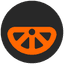 Feeling Zesty logo